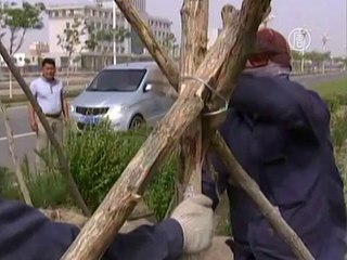 Во Внутренней Монголии свирепствует песчаная буря