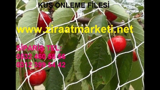 kuş filesi İstanbul, kuş ağı fiyatı, kuş ağı fiyatları, kuş filesi fiyat, balkon ağı balkon filesi, balkon fileleri, balkon filesi fiyatları, balkon filesi fiyatı