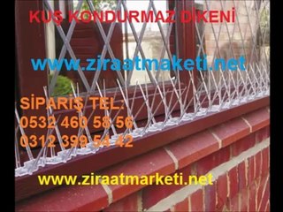 kuş-önleme-dikeni,kuş-bariyeri,kuş-dikenleri,kuş-önleme-dikenleri,kuş-bariyerleri,kuş-kovar