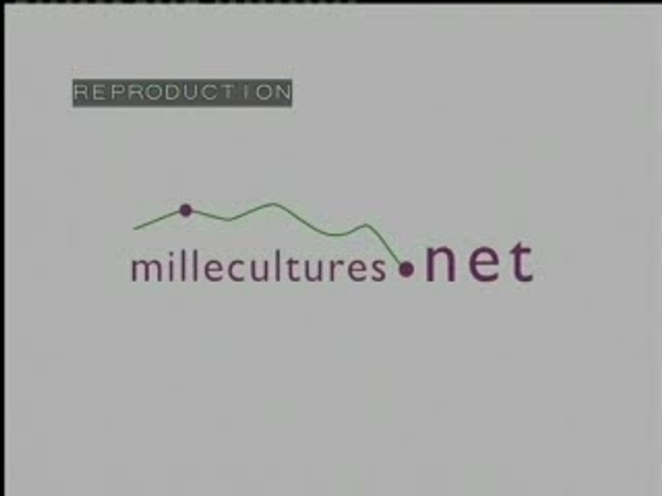 Hamlet/ thème & variations