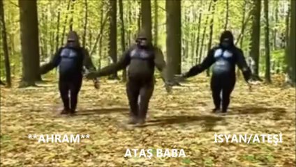 Darkorbit - Aram Klanı video part 1