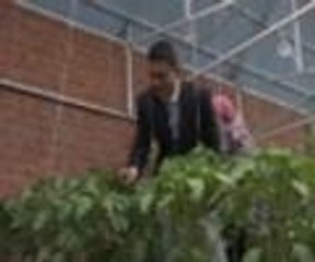 Çin'de gördüler Erzurum'a kurdular