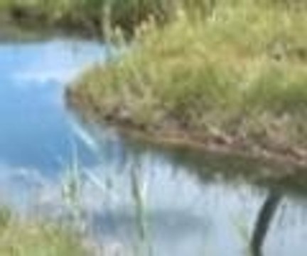 Tatilcilerin yeni gözdesi yüzen adalar