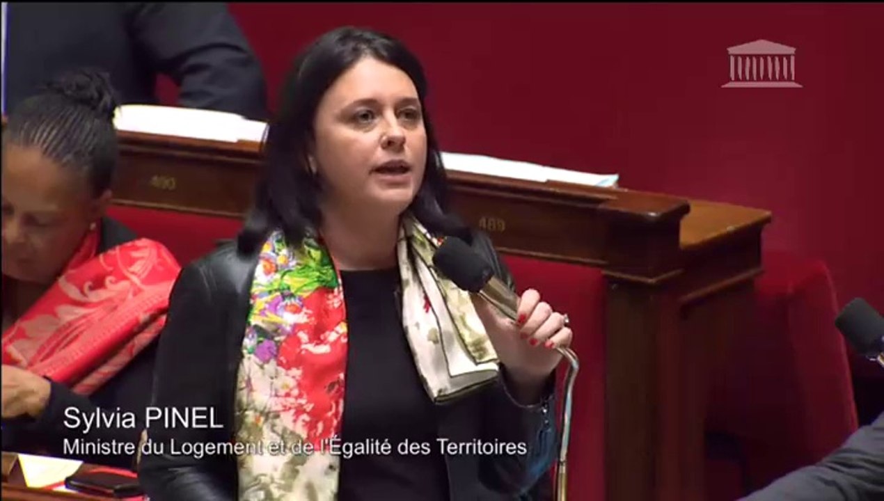 Sylvia Pinel répond à la QAG du député Laurent Furst