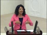 CHP PM Üyesi Tekirdağ Milletvekili Candan YÜCEER-SOMA FACİASI