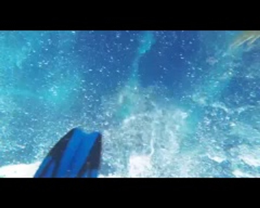 Dev balina köpekbalığı ile yakın temas kamerada