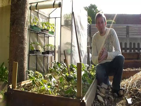 Choisir vos variétés de fraises pour votre potager