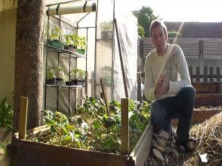 Choisir vos variétés de fraises pour votre potager