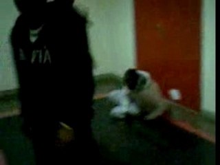 baston pour déconé entre pote