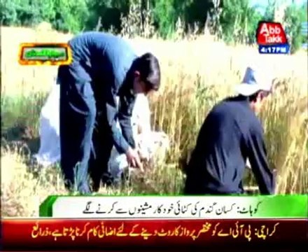 Kohat-Farmers use latest machines to harvest