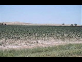 KALRATHI ZAMEEN MEIN CROPS & FODDER VARIETIES DR.ASHRAF SAHIBZAD