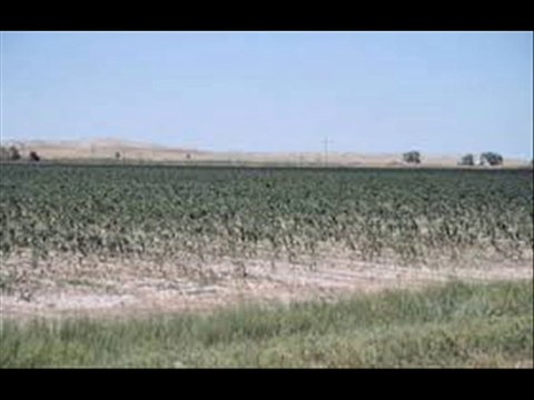 KALRATHI ZAMEEN MEIN CROPS & FODDER VARIETIES DR.ASHRAF SAHIBZAD