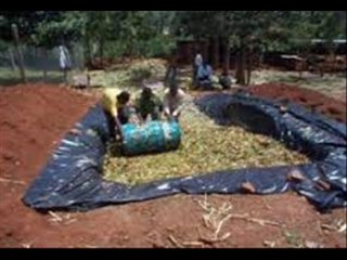 SILAGE BANANAY KI VERY USEFUL TIPS DR.ASHRAF SAHIBZADA