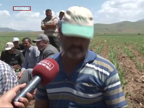 HES MÜCADELESİNDE BAŞARI