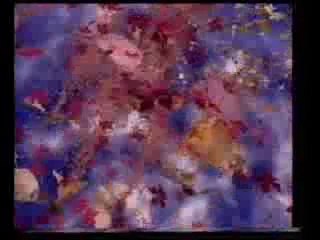 The Secret Beyond Matter (part 2)