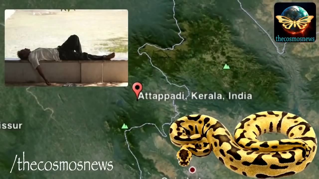Python eats drunk man alive in India watch video.