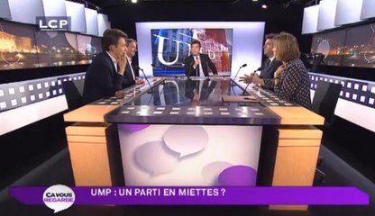 Ça Vous Regarde - Le débat : L'UMP peut-elle encore survivre ?