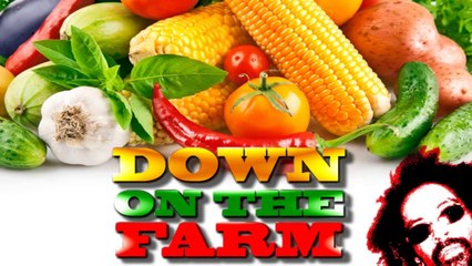 Down On The Farm [Reality TV] Keladelphia Studios  :30 sec Promo