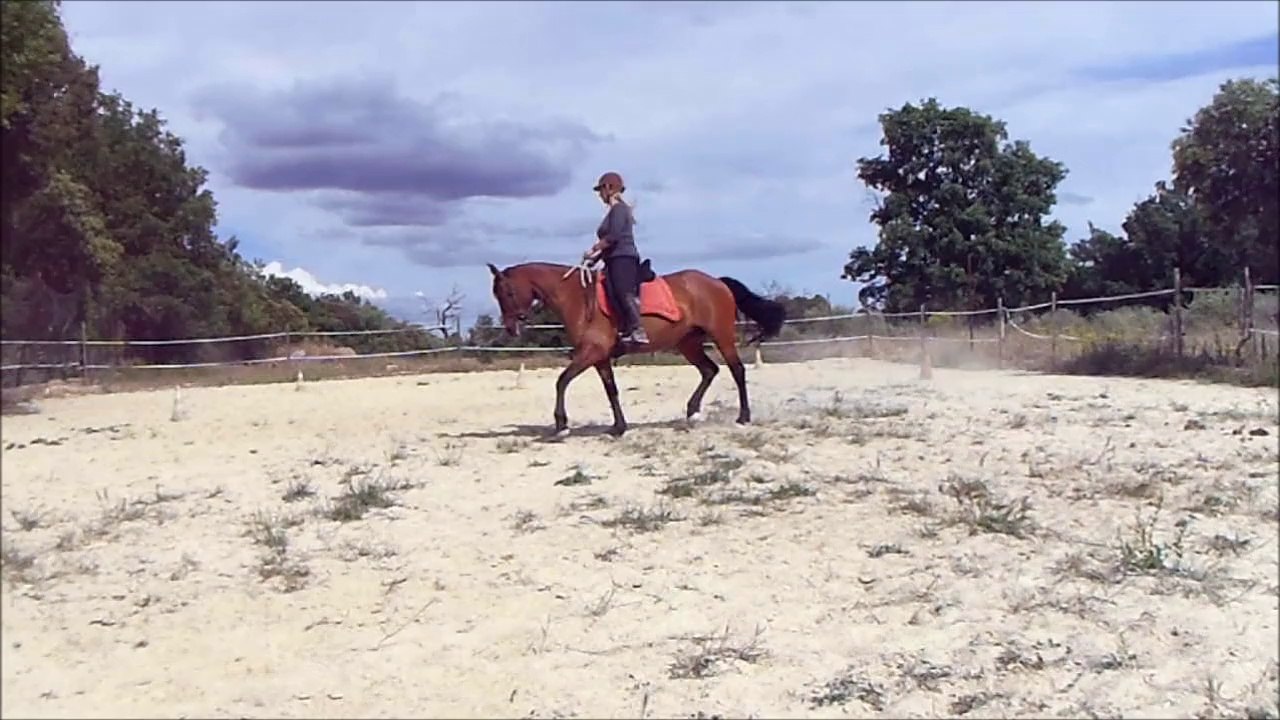 autentica 27.05 suite