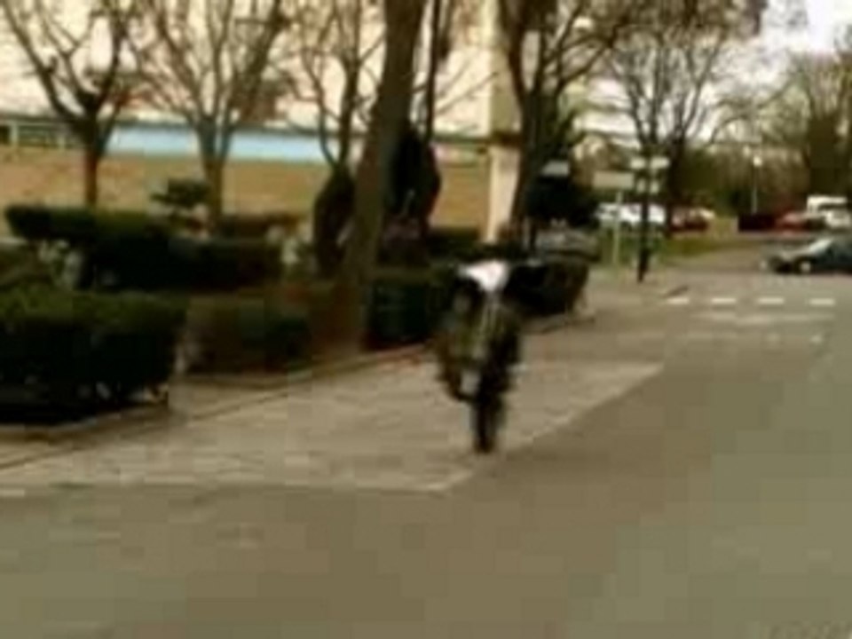 COURTILLIERES EN FORCE