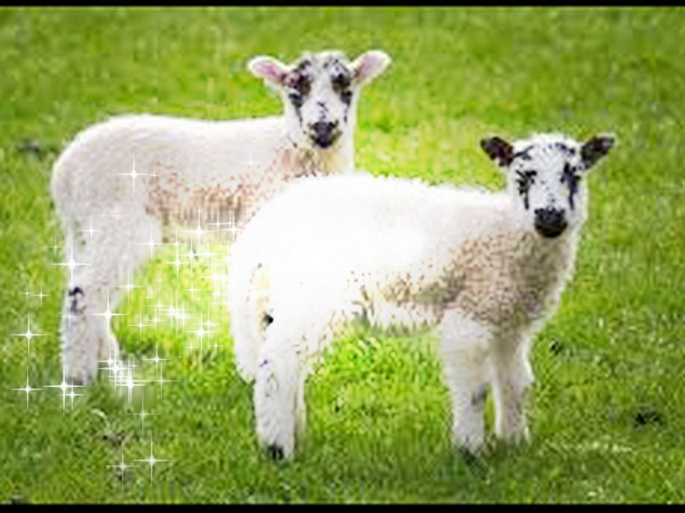 Recep Tayyip Erdoğan - Bizim De Yaşadığımız Hayattır