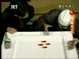 Dressage de poisson rouge