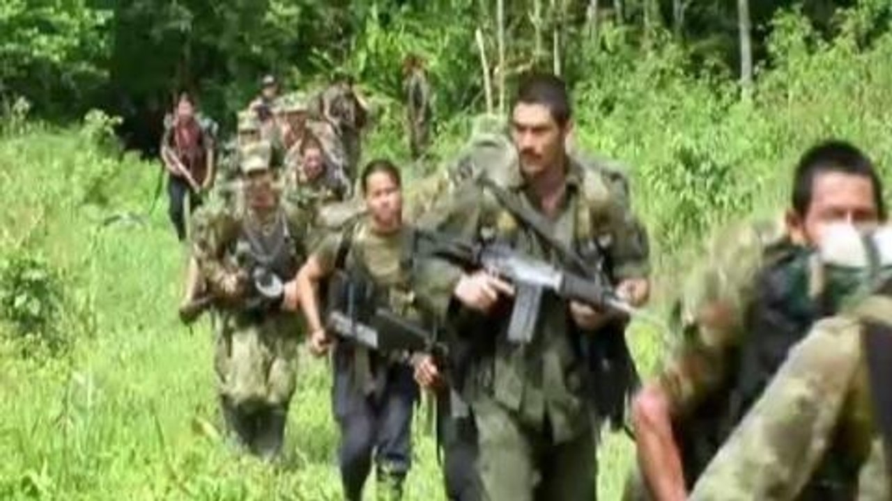 FARC weighs peace talks as it turns 50