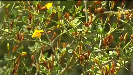 Espai Terra. Dimecres 28 de maig