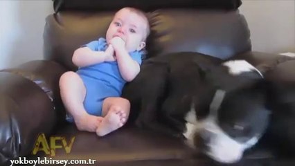 You can't stop laughing after watching this