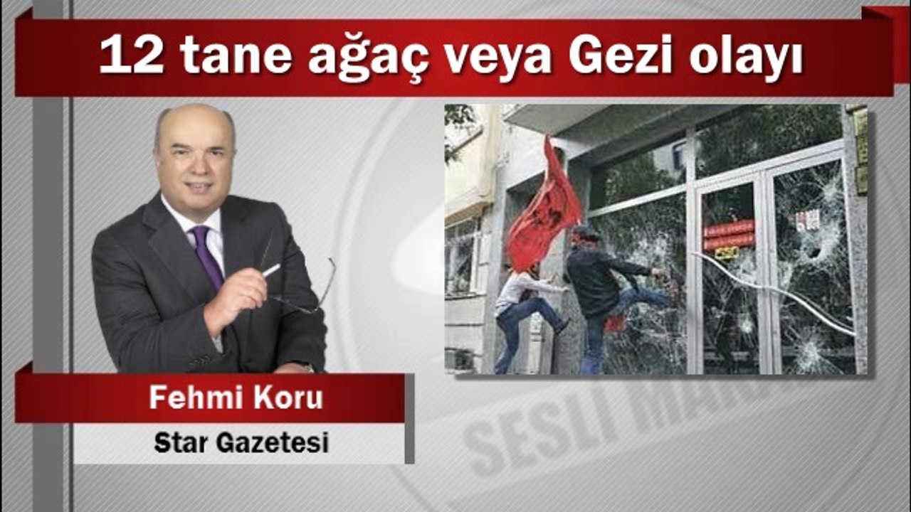 Fehmi Koru : 12 tane ağaç veya Gezi olayı