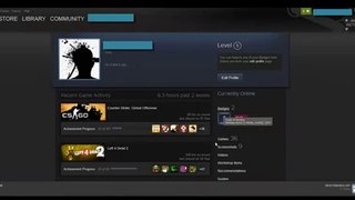PlayerUp.com - Buy Sell Accounts - Steam Account For Sale ! BO,BO2,MW3,MAX PAYNE3