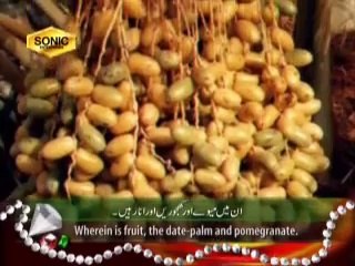 Surah Rehman Tilawat Quran Beautiful Recitation With urdu Translation