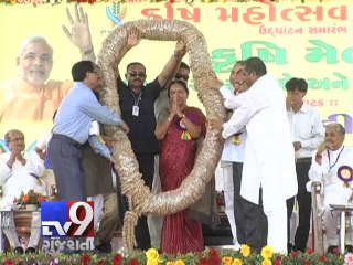 Gates over Sardar Sarovar Narmada dam is expected soon, says Anandiben - Tv9 Gujarati
