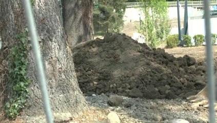 LES W-D.D. MICHOU SATURDAY NEWS - 10 MAI 2014 - STADE NAUTIQUE - QUESTIONS CONCERNANT LE....