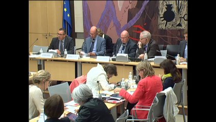 Audition de MM. Joachim Pfeiffer, et Wolfgang Tiefensee, membres du Bundestag - Mercredi 28 Mai 2014