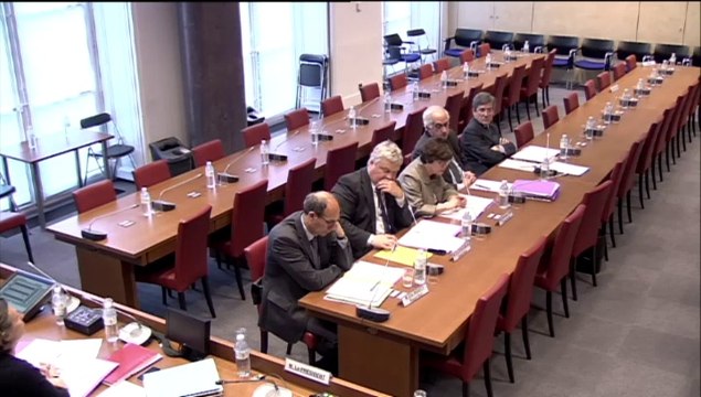 Audition de M. Jean-François Martins, adjoint au Maire de Paris - Mercredi 28 Mai 2014