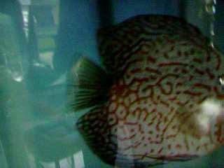Photo 072