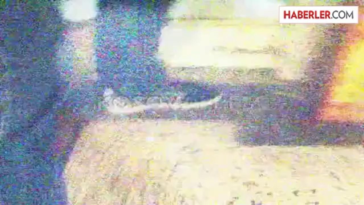 Priştine Üniversitesi Eski Rektörü Rugova Televizyon Ekibine Saldırdı