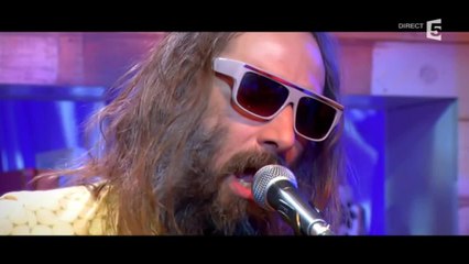 Sébastien Tellier "L'Adulte" - C à vous - 28/05/2014