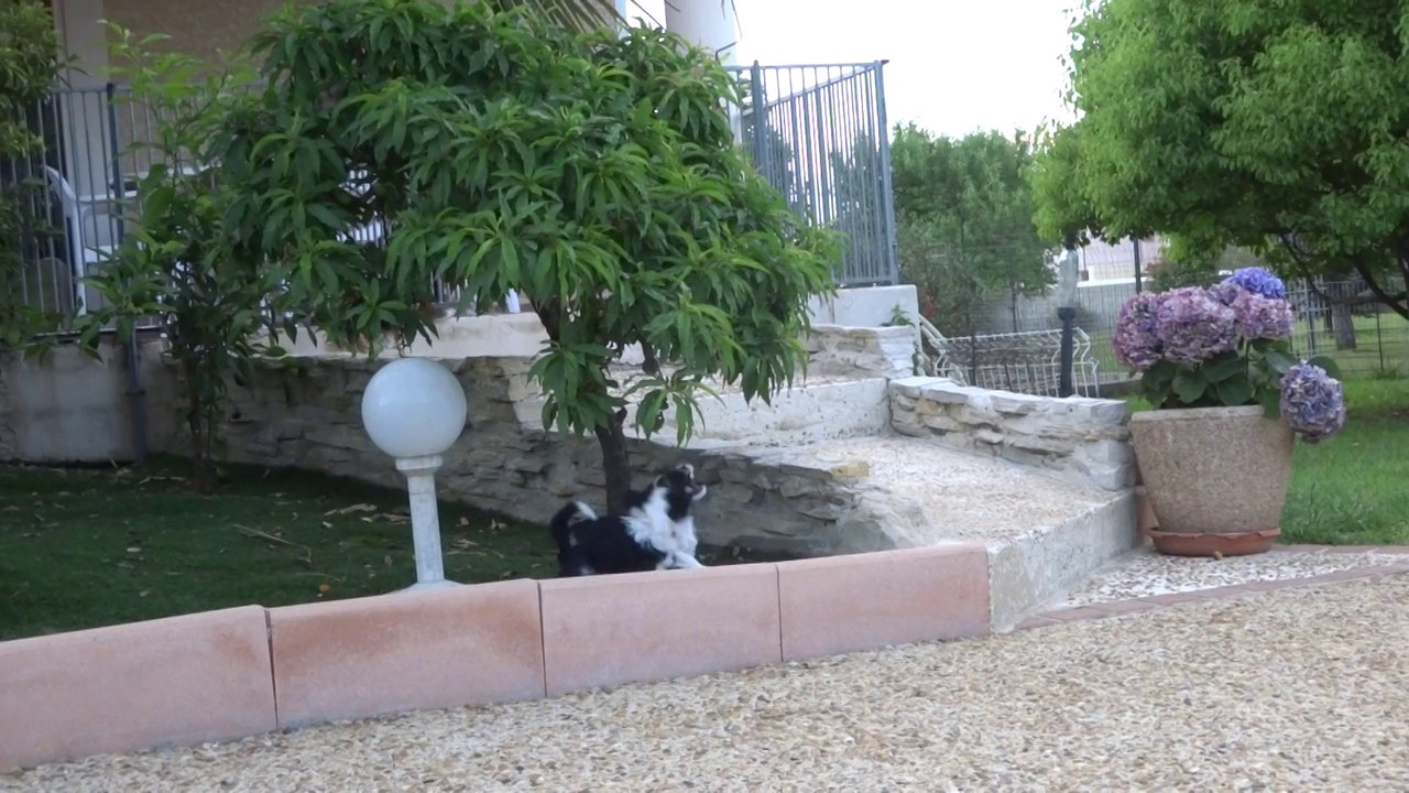 BEBES FEEL GOOD DES SOURCES DU SALISON ET SWEET CAROLINE DE ETXEGORRI