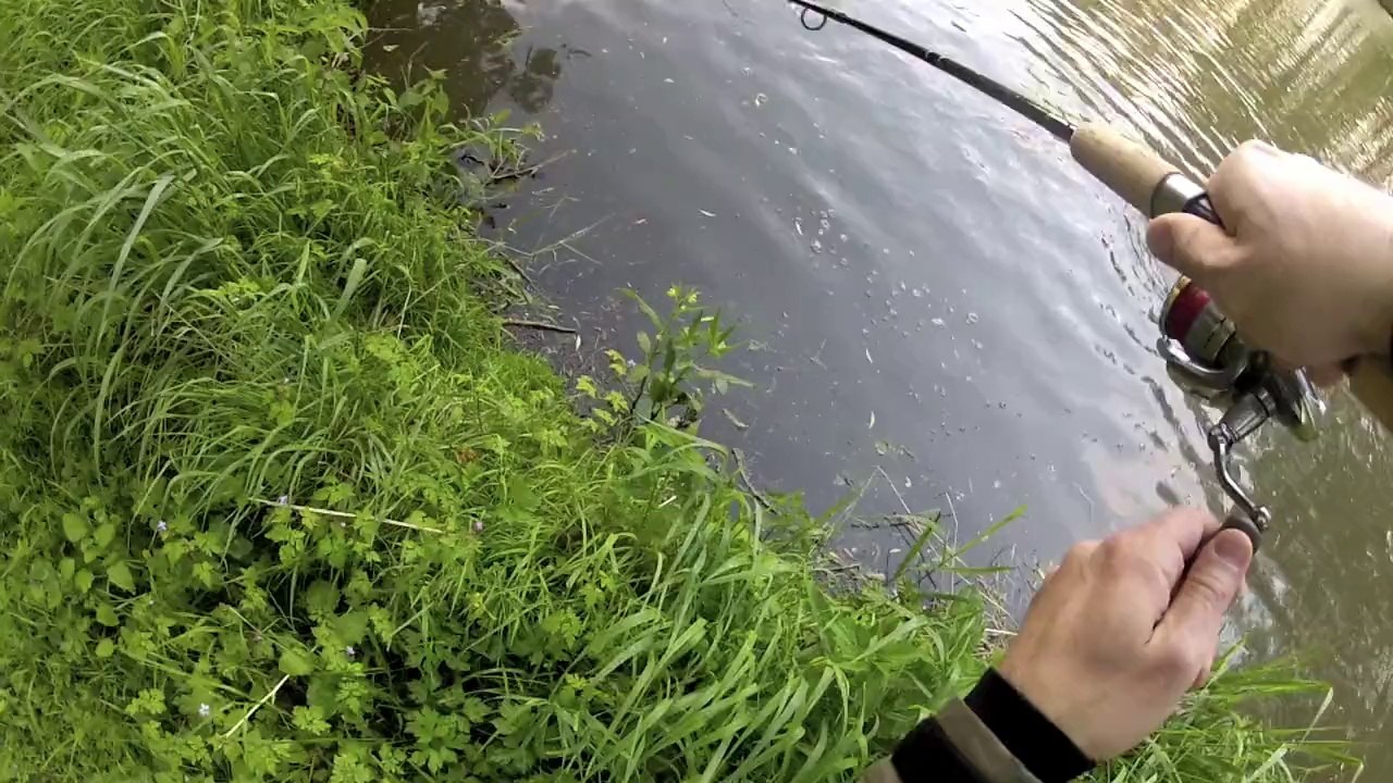smallpikeonkorriganM