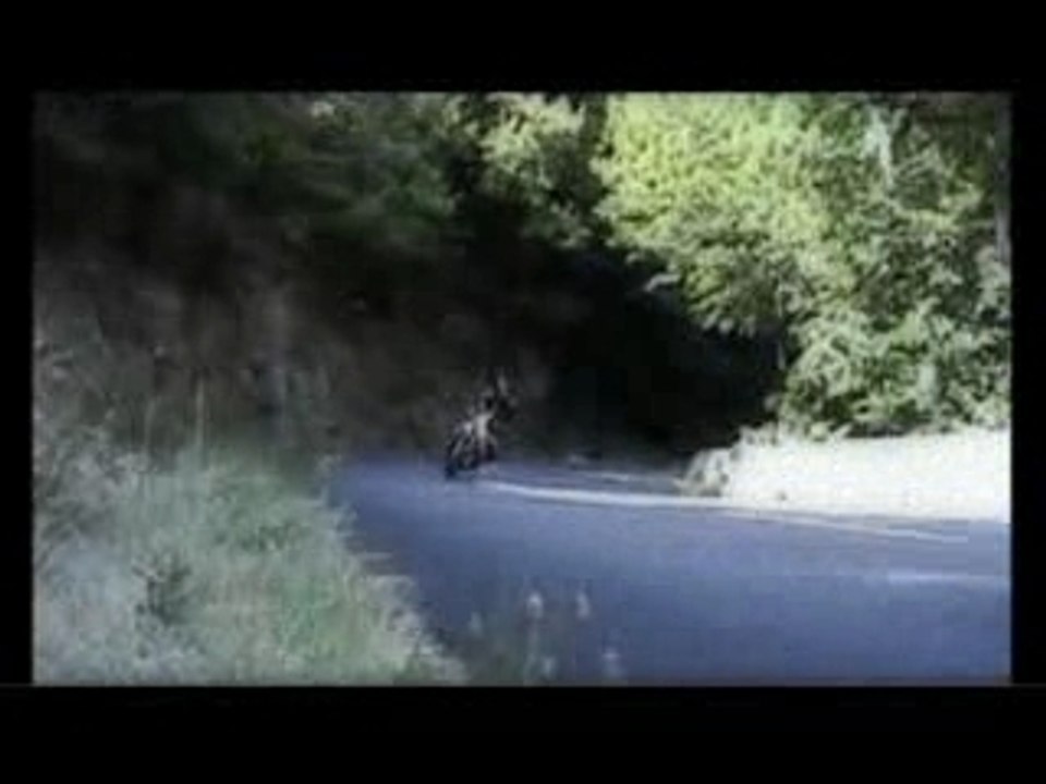 Stunt attitude - tourist trophy