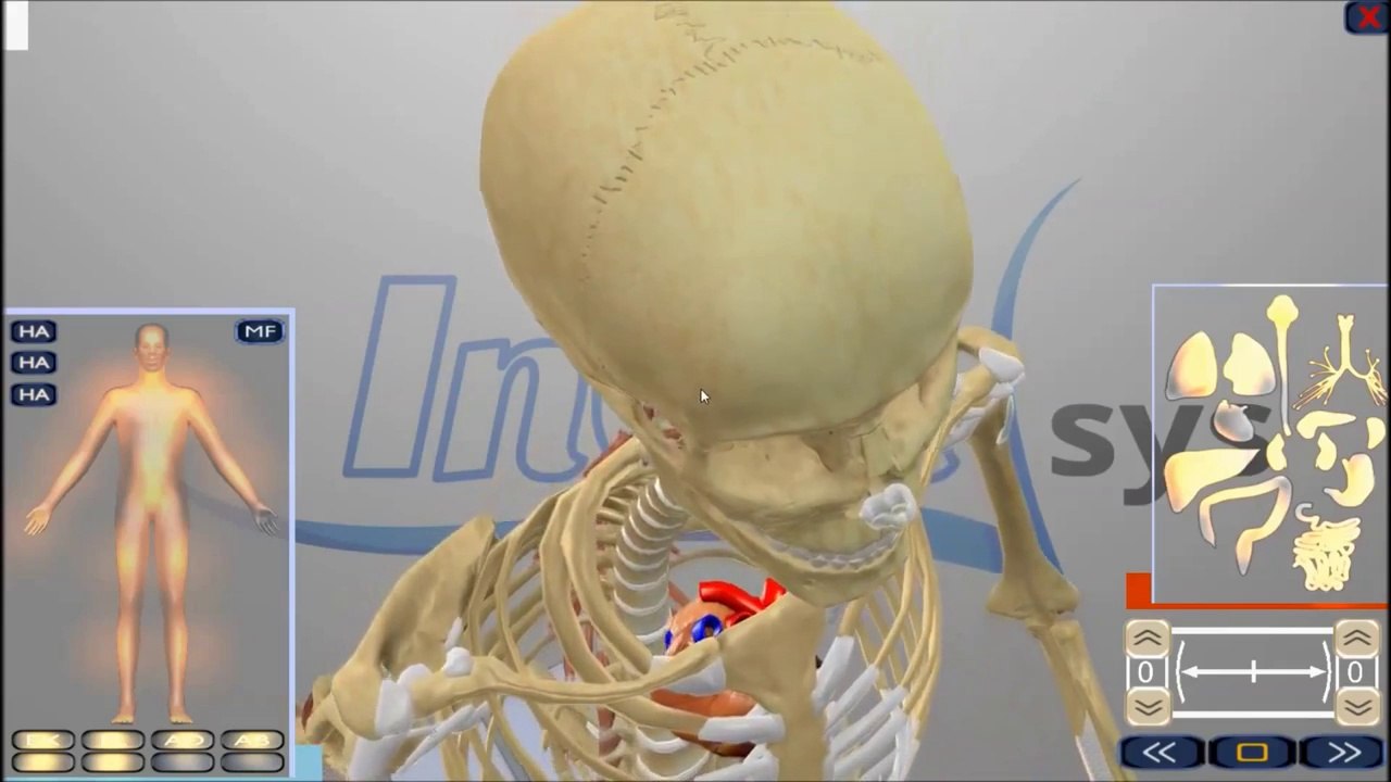 InGAsys Vortragssoftware 1.03 - OTWorld 2014 - InGAsys - Intelligente Ganganalyse Software