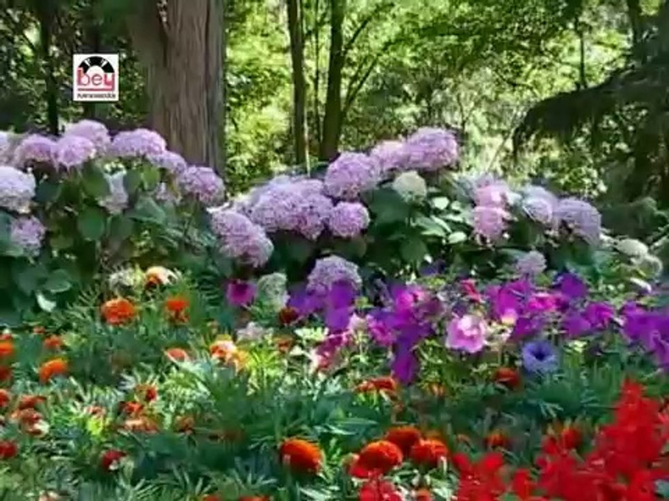 Yandan Halimem Yandan (Grup Aslar)