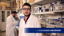 Sabancı Üniversitesi Moleküler Biyoloji, Genetik ve Biyomühendislik Lisans Programı