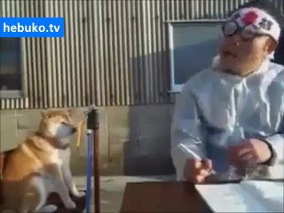 uyuyan adamı sürekli uyandıran prensipli köpek :)))