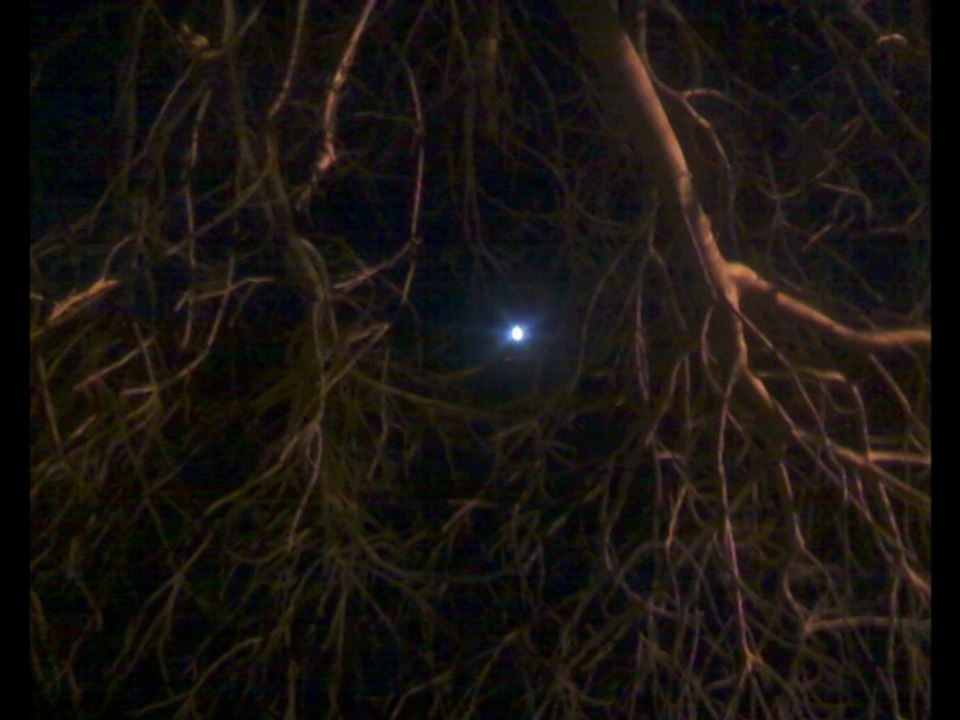 Eclipse (lyrics by Michele Buchanan)