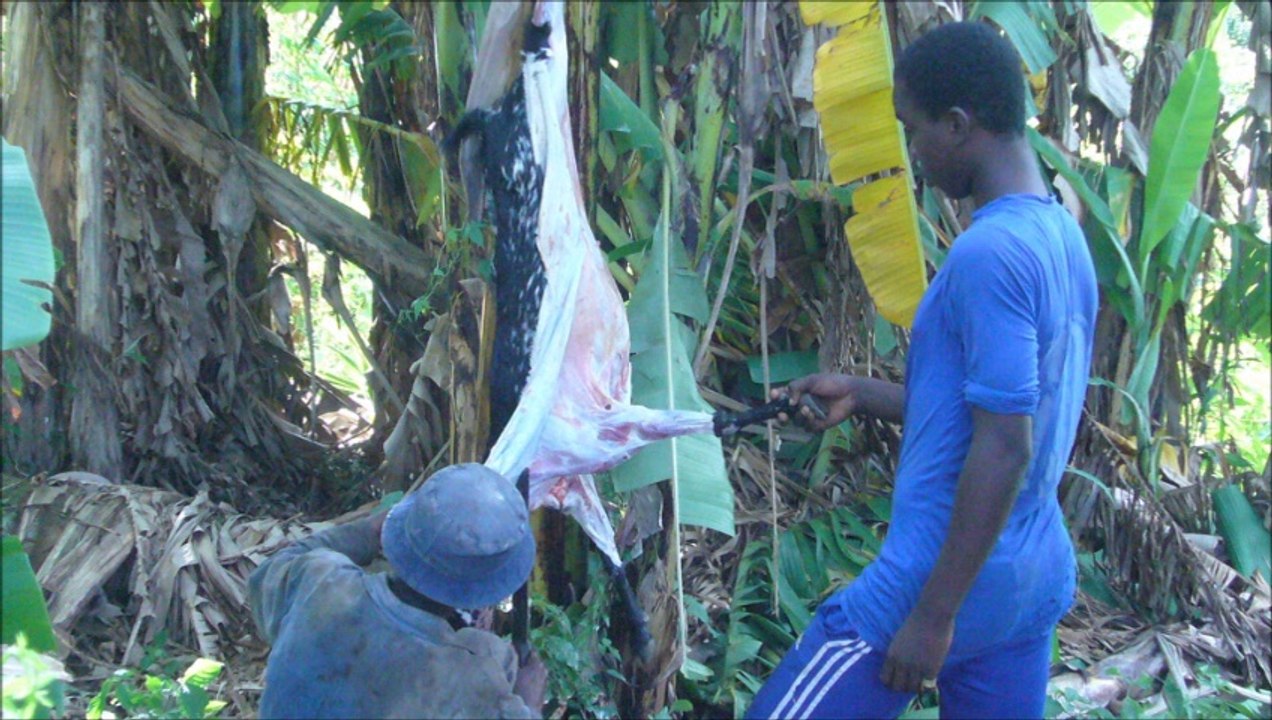 Construction d'un Pôle Educatif à Gnambeni grande comore