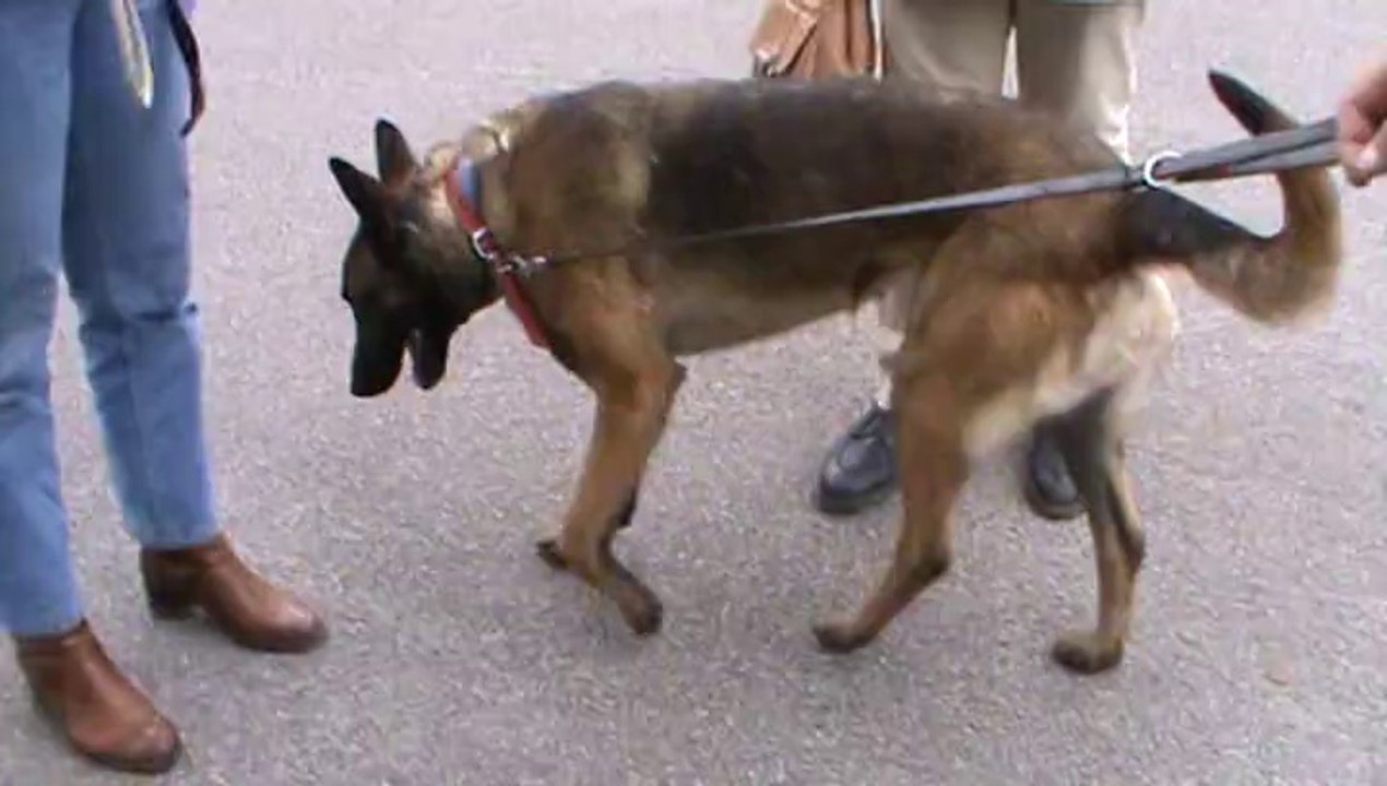 Sheyen arrivée à Mantes La Jolie