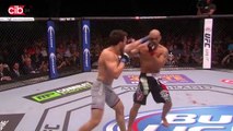 MMA Punchline -   UFC173